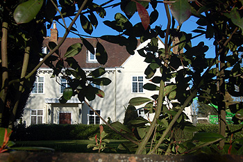 The Manor House peeping through foliage February 2012